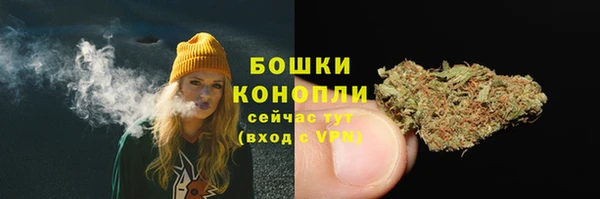 PSILOCYBIN Верхний Тагил