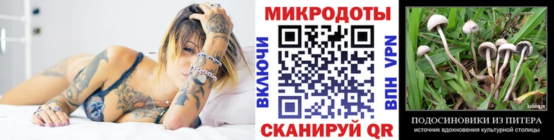 Псилоцибиновые грибы мицелий  MEGA вход  Нальчик 
