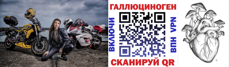 Галлюциногенные грибы Psilocybine cubensis Нальчик